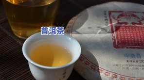 用凉水泡普洱茶可以吗？女性适用吗？