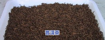 那卡普洱茶价格-那卡普洱茶价格多少钱