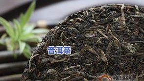 黄叶普洱茶-黄叶普洱茶值得存放吗