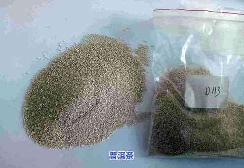 芽孢普洱茶功效与作用，芽孢普洱茶：揭示其神奇的功效与作用