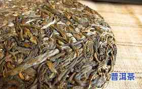 普洱芽孢茶多少钱一斤，探寻普洱芽孢茶的价格：一斤需要多少钱？