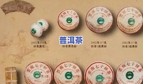 普洱茶编号的含义：普洱茶厂编号1~9与大益普洱茶编号解析