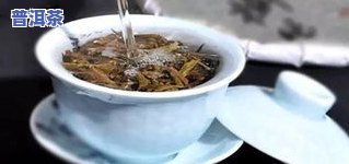 普洱茶比例-普洱茶比例泡几次更好喝