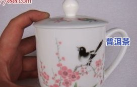 泡老板娘的茶：茶名、茶杯全解析