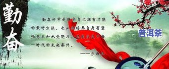 普洱茶名言-普洱茶名言名句