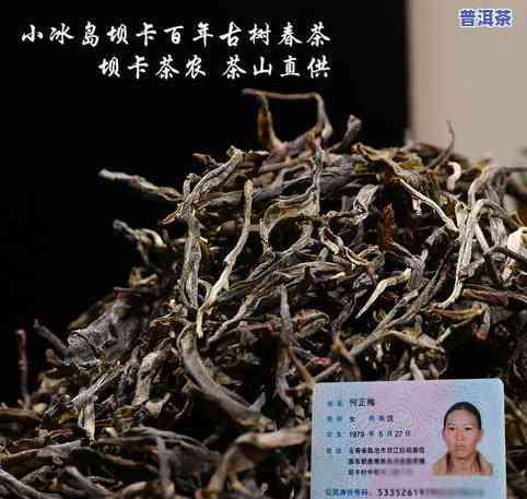 冰岛古树生茶，探索神秘的冰岛古树生茶：一种独特的茶叶体验