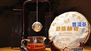 孔雀之乡普洱茶-孔雀之乡普洱茶七子饼