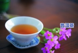 苹果普洱茶-苹果普洱茶煮水喝功效