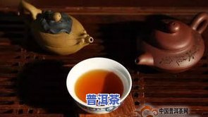 普洱茶生活朋友圈：赶快分享你的品茗体验！简短经典茶语等你来发布。