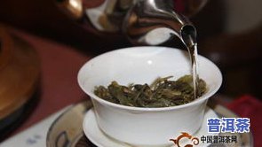 普洱茶泡法视频讲解，教你怎样泡出美味的普洱茶：详细视频讲解