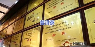 云南龙园号茶业-云南龙园号茶业发展历程