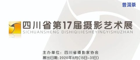 云南龙园号茶业-云南龙园号茶业发展历程