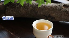 七彩孔雀普洱茶官网：吉祥孔雀，品味优质普洱茶