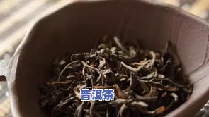 四川普洱茶在哪里-四川普洱茶在哪里啊