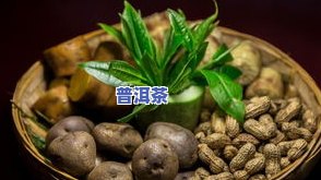 李记谷庄普洱茶-李记谷庄普洱茶价格表