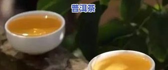 普洱茶保存时间-普洱茶保存时间和方法