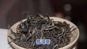 冰岛甜古树纯料生茶-冰岛古树茶冰糖甜