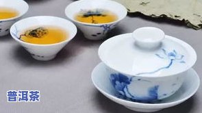 普洱茶一泡几克？冲泡量如何确定？