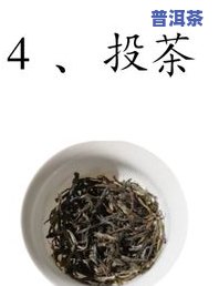 普洱茶一泡-普洱茶一泡几克