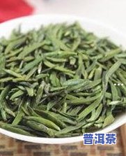 冰岛古树茶长什么样-冰岛古树茶长什么样图片