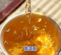 冰岛古树茶长什么样-冰岛古树茶长什么样图片