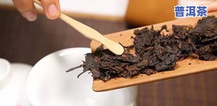 云南印象普洱茶支：品味独特口感，领略云南风情