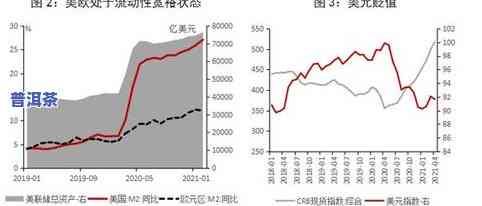 普洱基诺山茶简介：特点与价格全解析