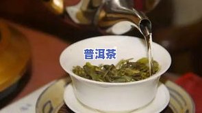 普洱茶需要洗茶吗，探讨普洱茶的冲泡方法：是不是需要实施洗茶步骤？