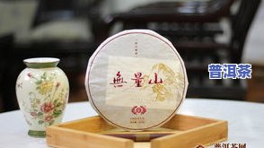 冰岛普洱生茶357克,包上有只凤凰，特别包装，品味冰岛：357克普洱生茶配以精美凤凰图案