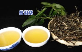 用古树纯料做普洱茶可以吗？详解视频教程与制作方法