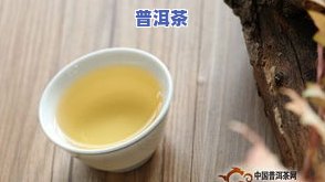 磨烈普洱茶属于什么位置，探寻磨烈普洱茶的产地与分类：它属于哪个位置？