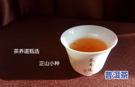 小冰岛茶与冰岛茶有何区别？详细解析两者的不同之处