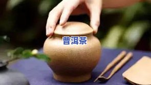 冰岛是泡功夫茶的吗？探究原因与实证