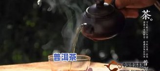 普洱茶保存方法：长期保存三大技巧全攻略