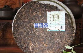 公主茶是什么茶？含义与种类全解析