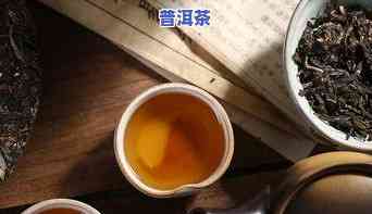 公主普洱茶-公主一号普洱茶