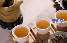 大益普洱茶生茶和熟茶：哪款值得收藏？