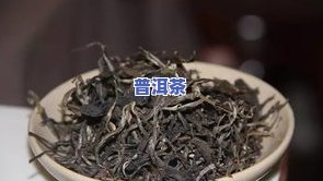 冰岛古树茶价格多少？一斤、一盒分别多少钱？