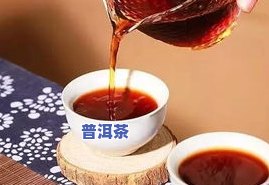 普洱茶制作视频教程：从原料到成品全过程解析