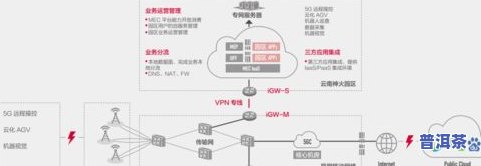 普洱茶综合标准详解：定义、类型与内容