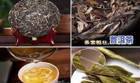 普洱茶制作视频-普洱茶制作视频教程