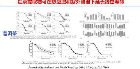 茶叶是凉性的还是热性的？熟悉其性质对健康的作用