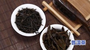 陈皮普洱茶品种有哪些名称-陈皮普洱茶品种有哪些名称图片