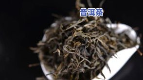 只做纯料散茶普洱茶可以吗-只做纯料散茶普洱茶可以吗