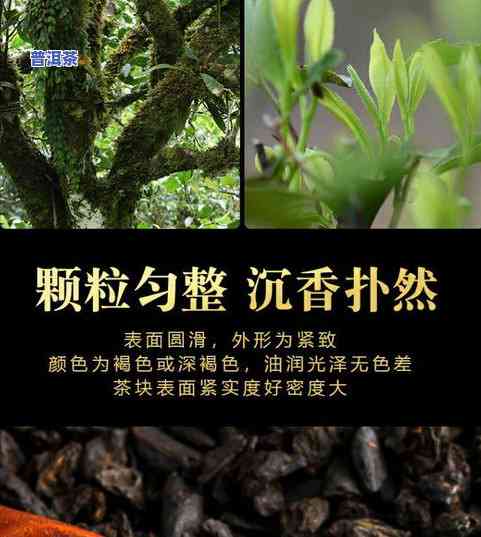 云南普洱茶熟茶散茶叶，品味云南风情：探索普洱茶熟茶散茶叶的魅力