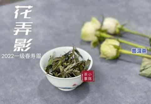 普洱茶香-普洱茶香是怎么回事