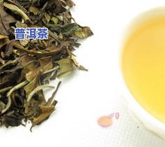 为什么普洱茶要转化为白茶-为什么普洱茶要转化为白茶呢