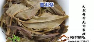 普洱茶的品种区别图片大全图解，全面解析：普洱茶品种的区别，一图看懂！