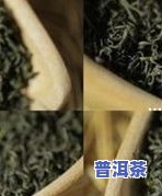 菠菜与普洱茶能否同食？探讨两者搭配的适宜性