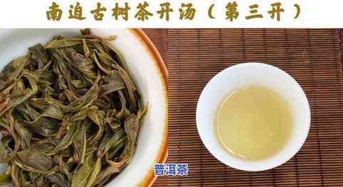 冰岛龙珠茶口感和特点，探索冰岛龙珠茶的独特口感与特点